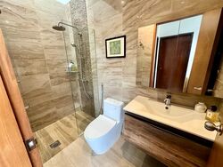 Holland Grove Road (D10), Terrace #582593521